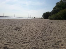 20220724_095214.jpg